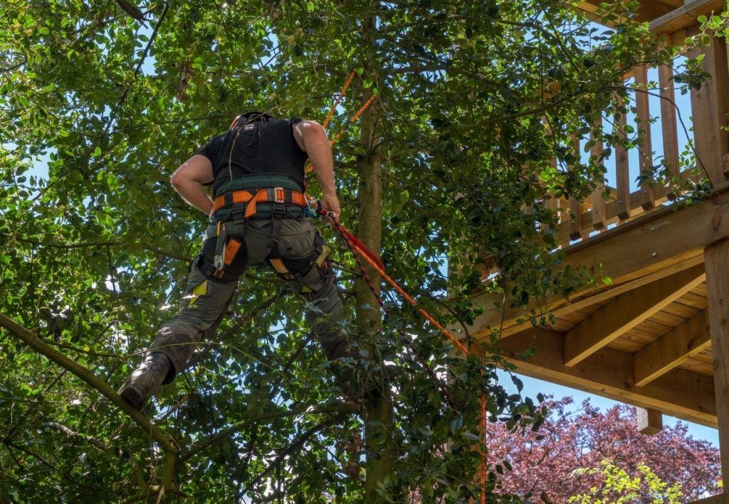 Tree Service Snellville GA, arborist Snellville GA