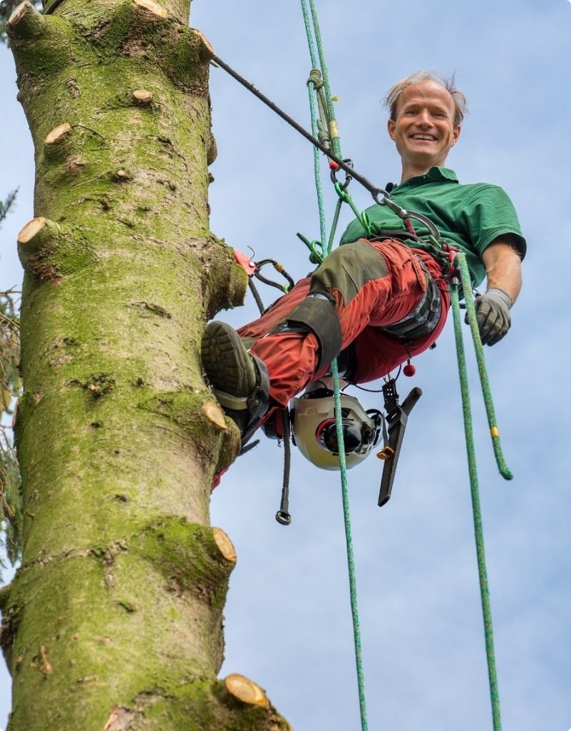 Tree Service Snellville GA, tree removal Snellville GA