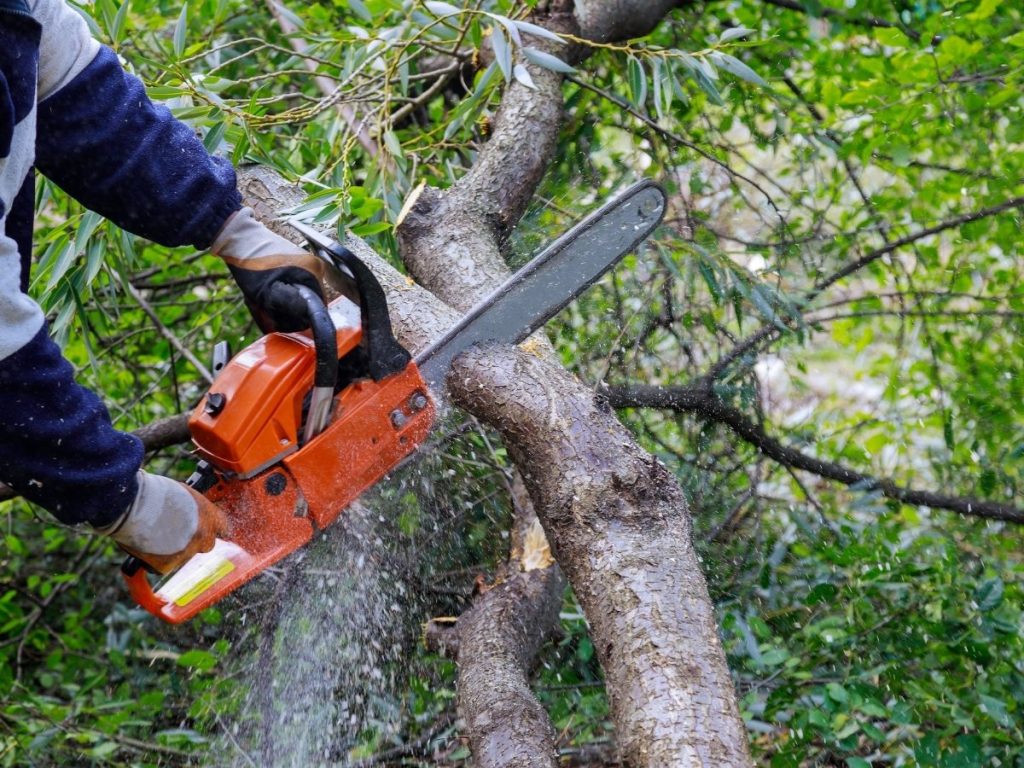 tree removal Snellville GA, affordable tree service Snellville, commercial tree service Snellville
