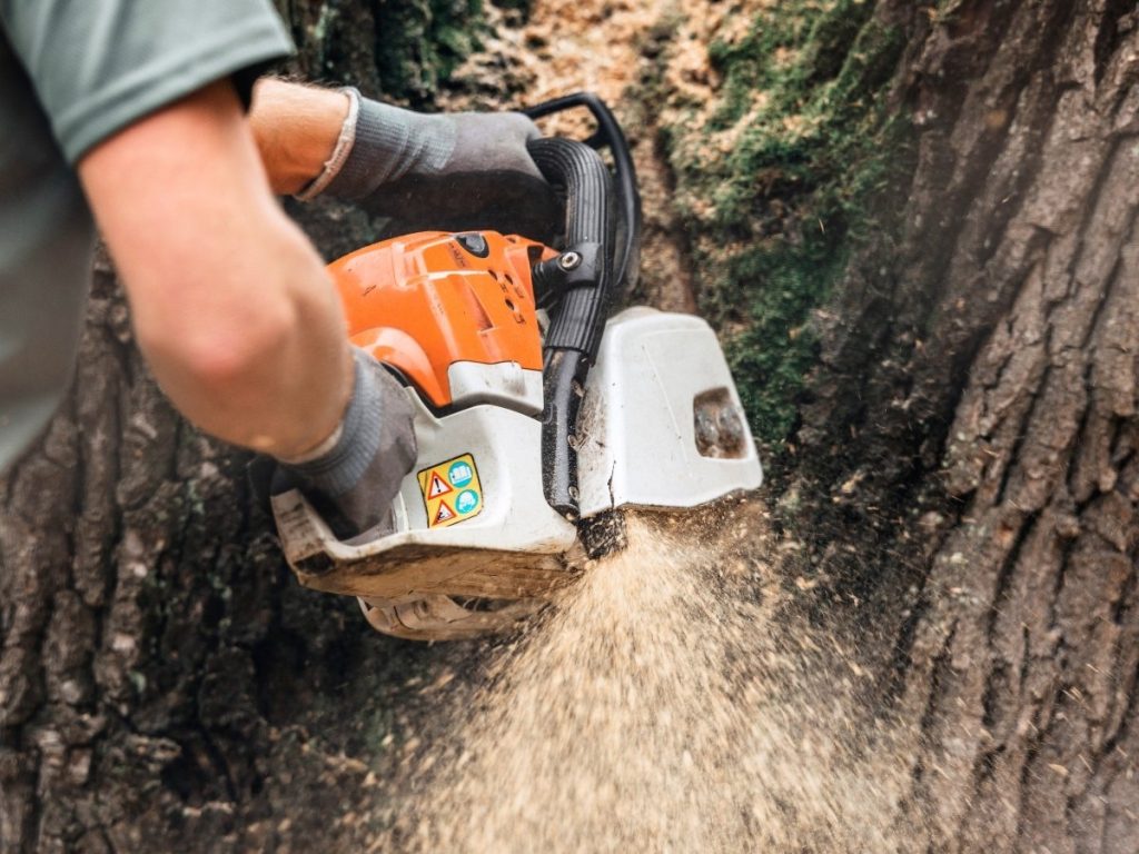 emergency tree removal Snellville, stump grinding Snellville GA, tree removal Lawrenceville GA, tree trimming Lawrenceville GA